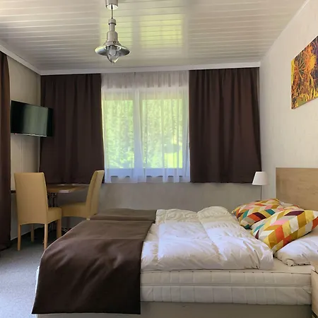 فندق Haas باد جاستاين