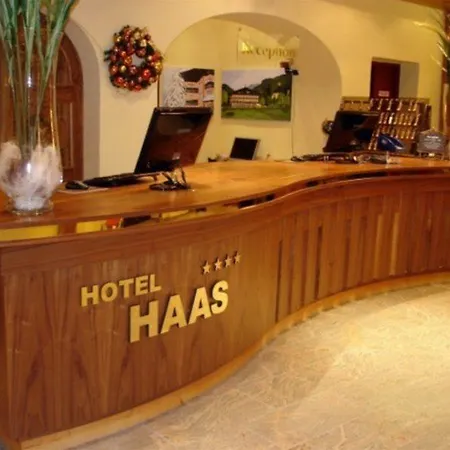 Haas 巴德加斯坦