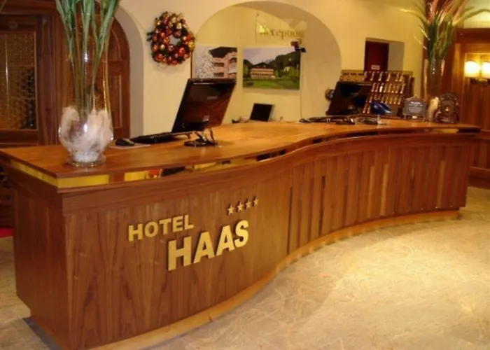 Haas باد جاستاين